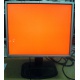 Монитор 19" TFT HP 1955 (DVI в Ижевске, USB-хаб) "квадратный" (Ижевск)