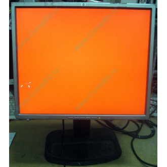 Монитор 19" TFT HP 1955 (DVI в Ижевске, USB-хаб) "квадратный" (Ижевск)