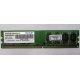 Модуль оперативной памяти 4Gb DDR2 Patriot PSD24G8002 pc-6400 (800MHz)  (Ижевск)