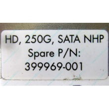 HP 250G 7.2k 432337-001/ 399699-001 / 397377-004 SATA HDD (Ижевск)