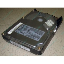 Жесткий диск 18.4Gb Quantum Atlas 10K III U160 SCSI (Ижевск)