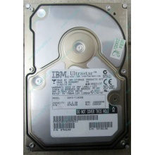 Жесткий диск 18.2Gb IBM Ultrastar DDYS-T18350 Ultra3 SCSI (Ижевск)