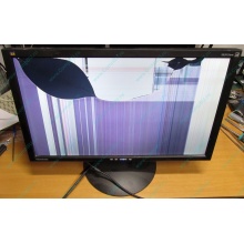 ViewSonic VA2413WM-2 разбитая матрица (Ижевск)