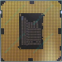 Процессор Intel Celeron G540 (2x2.5GHz /L3 2048kb) SR05J s.1155 (Ижевск)