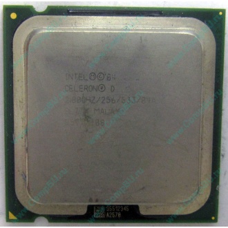 Процессор Intel Celeron D 330J (2.8GHz /256kb /533MHz) SL7TM s.775 (Ижевск)